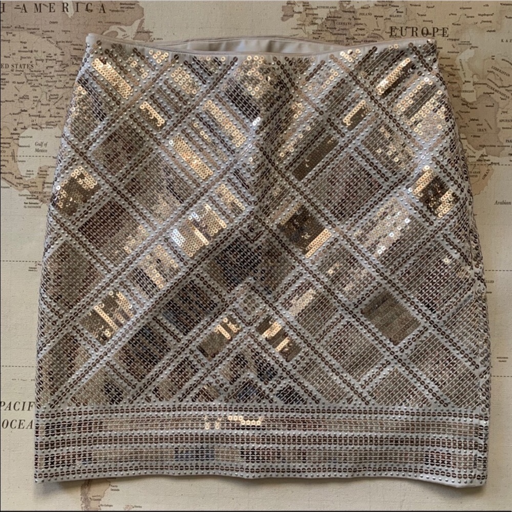 White House black market size 4 skirt. EUC.